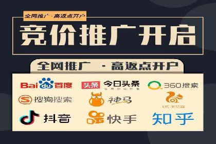 SEM代理服务：案例分享，效果显著